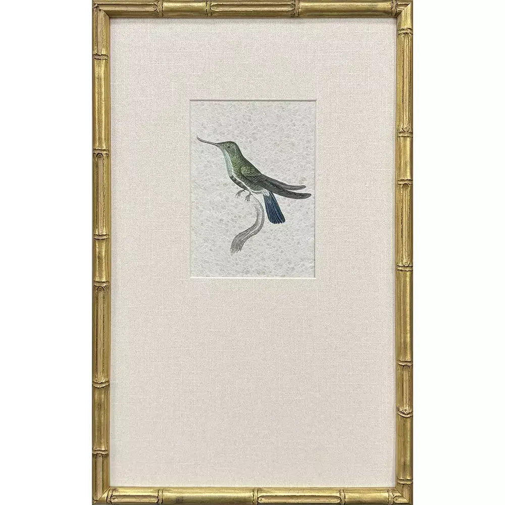Antique Hummingbirds - I - Artwork