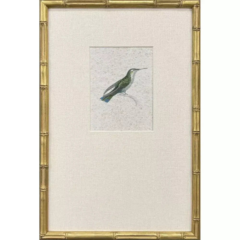 Antique Hummingbirds - II - Artwork