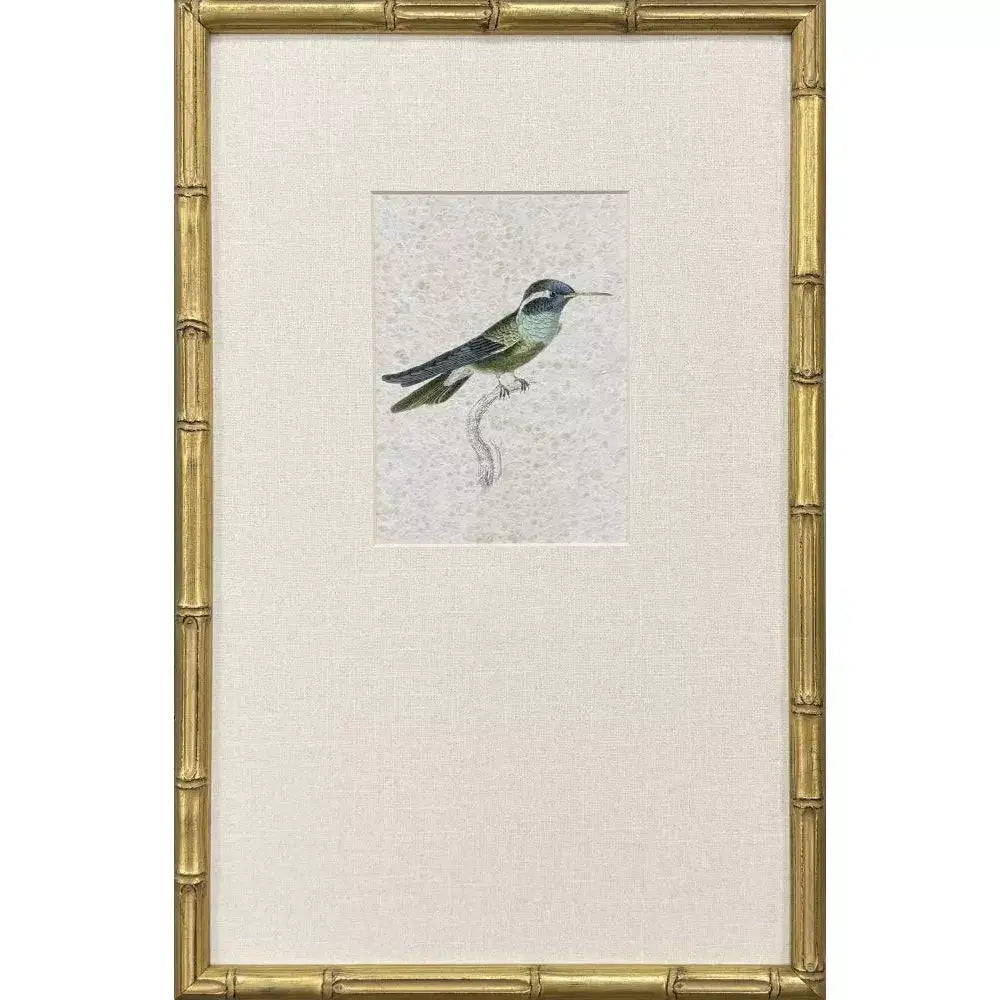 Antique Hummingbirds - IIII - Artwork