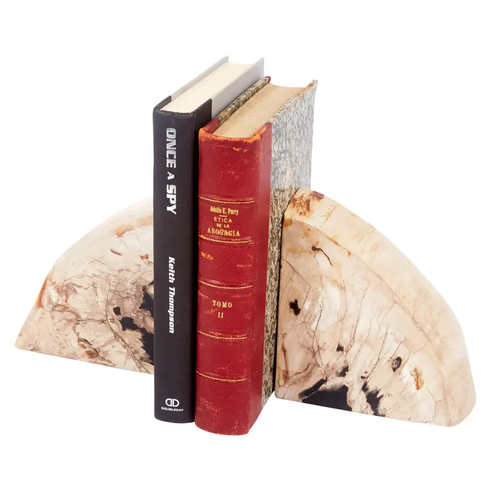 BLACK & BROWN PETRIFIED WOOD BOOKENDS - Black & Brown - Bookends