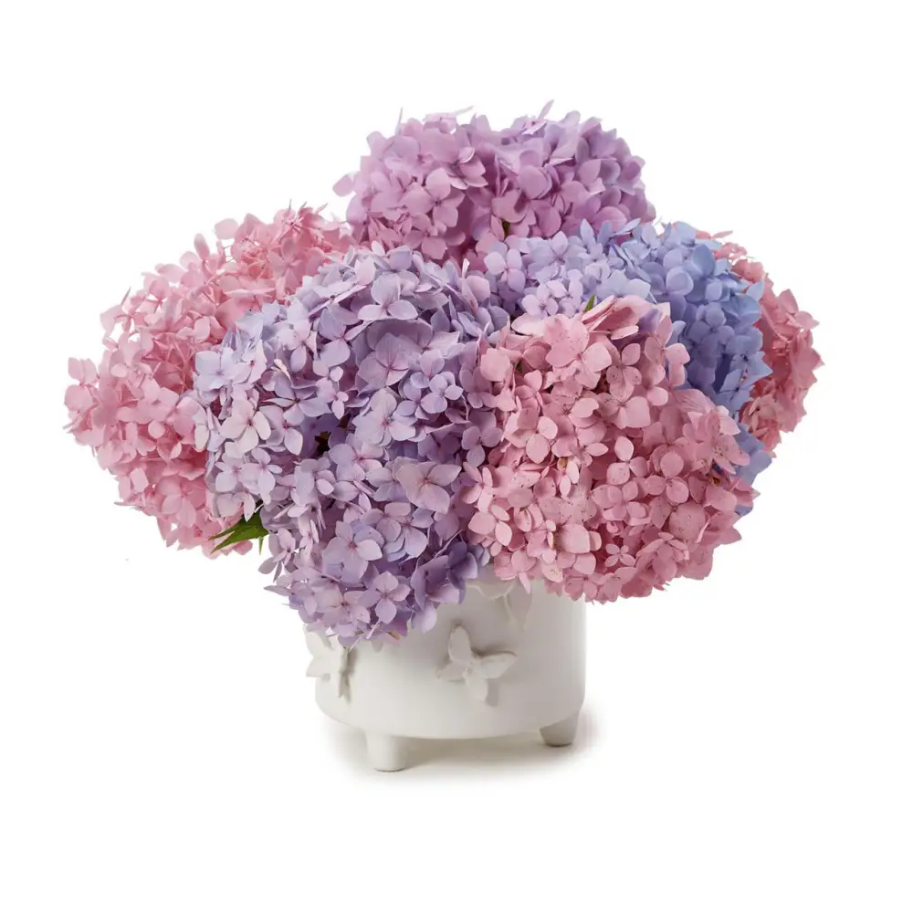 BUTTERFLY FOOTED CACHEPOT - PLANTER