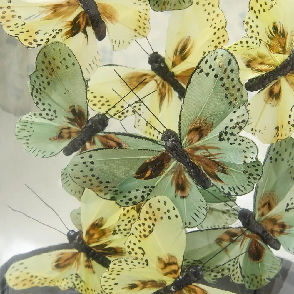 Flora and Fauna Butterflies in Oval Dome Sculpture - DECOR