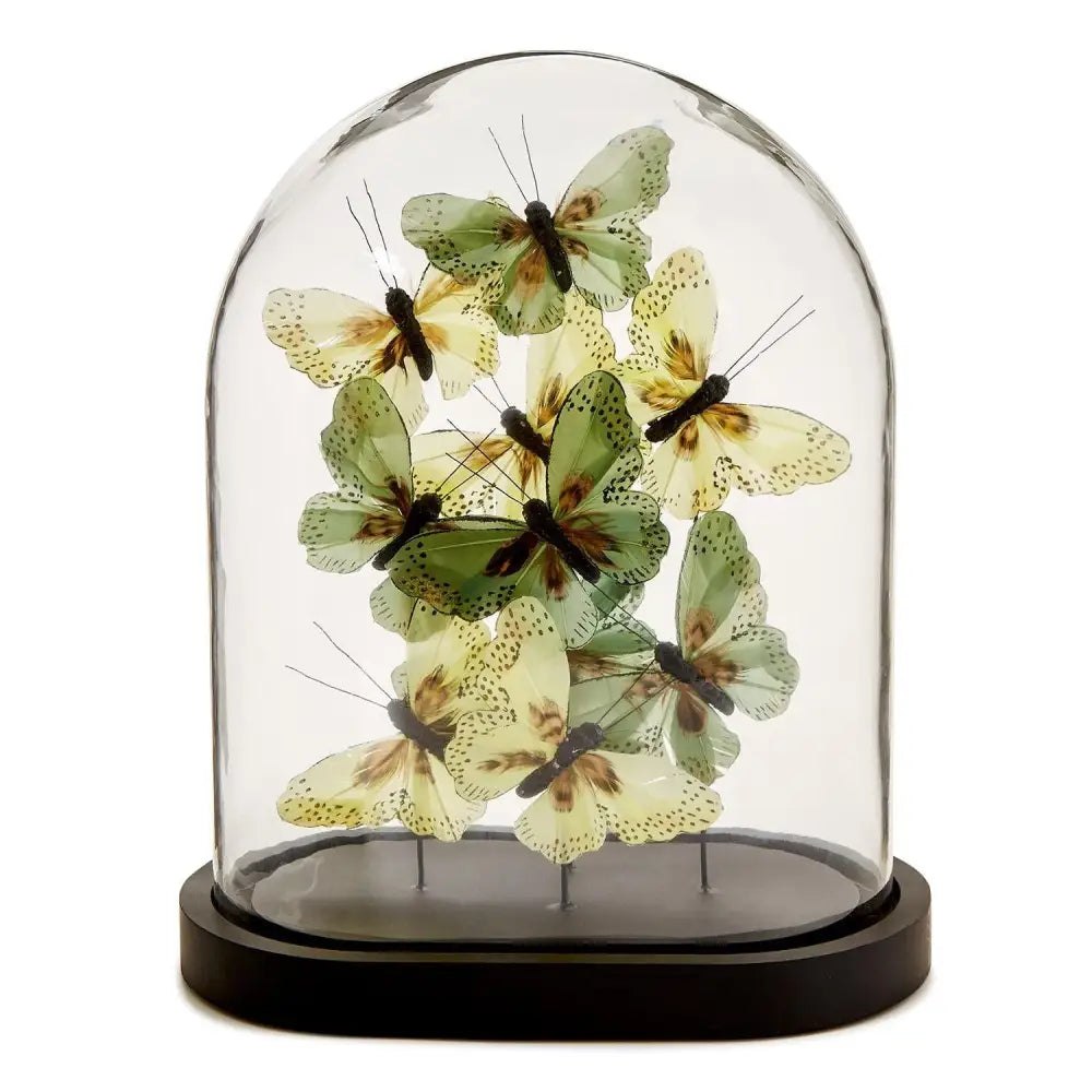Flora and Fauna Butterflies in Oval Dome Sculpture - DECOR