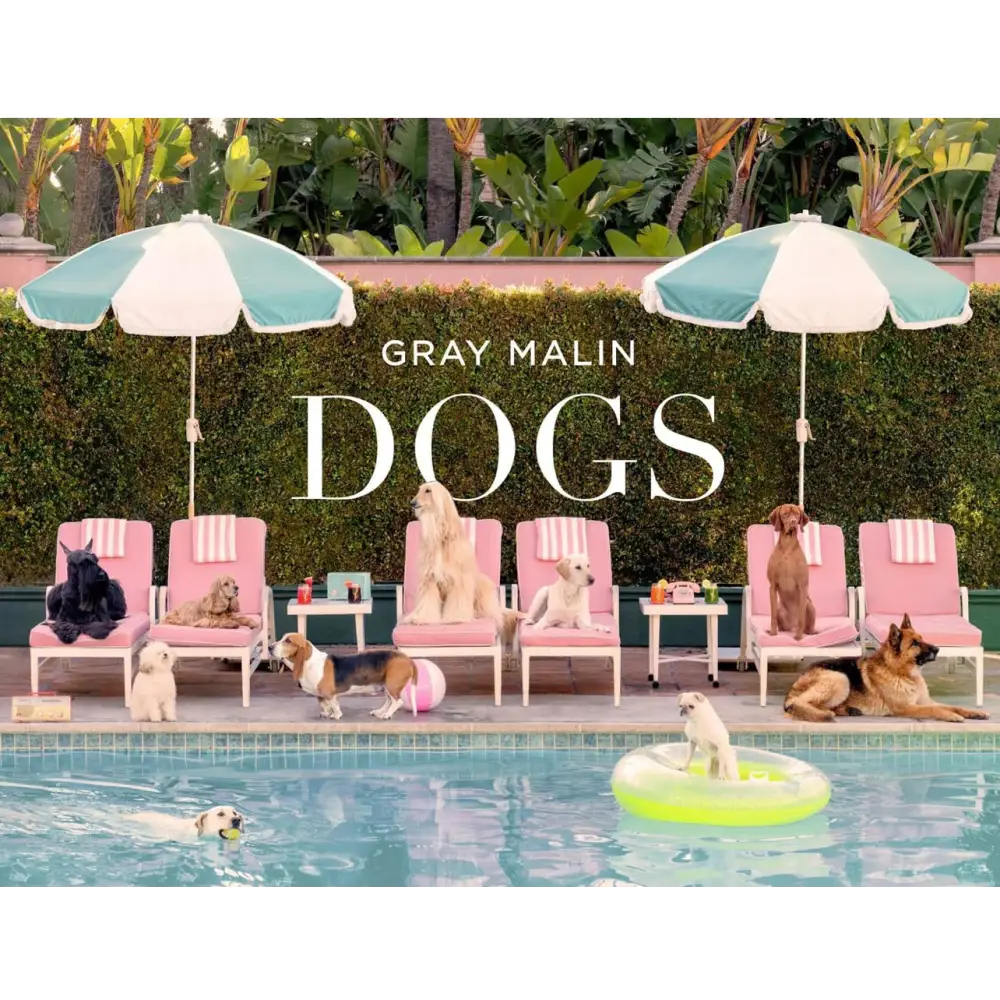 Gray Malin: Dogs: Photographs - Coffee Table Book