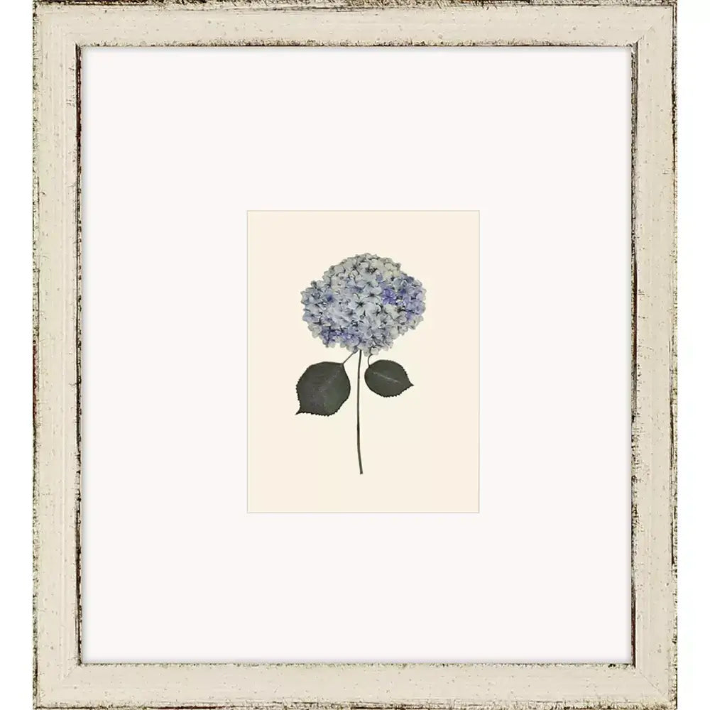 Hydrangea Mini - Wall Decor