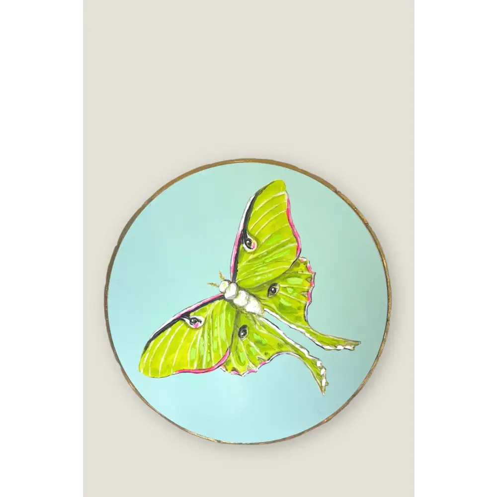Lunar Moth 8’’ Round - DECOR