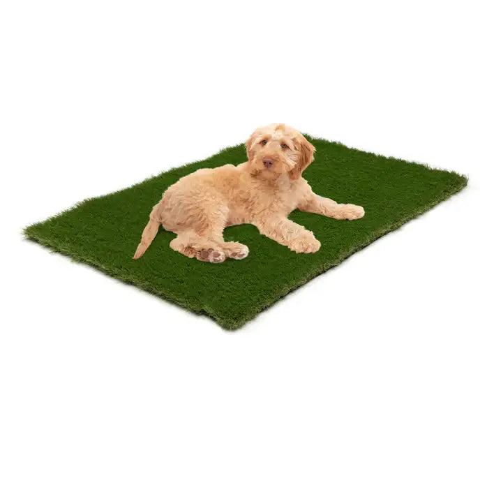 Milo and Luna Turf - Area Rugs
