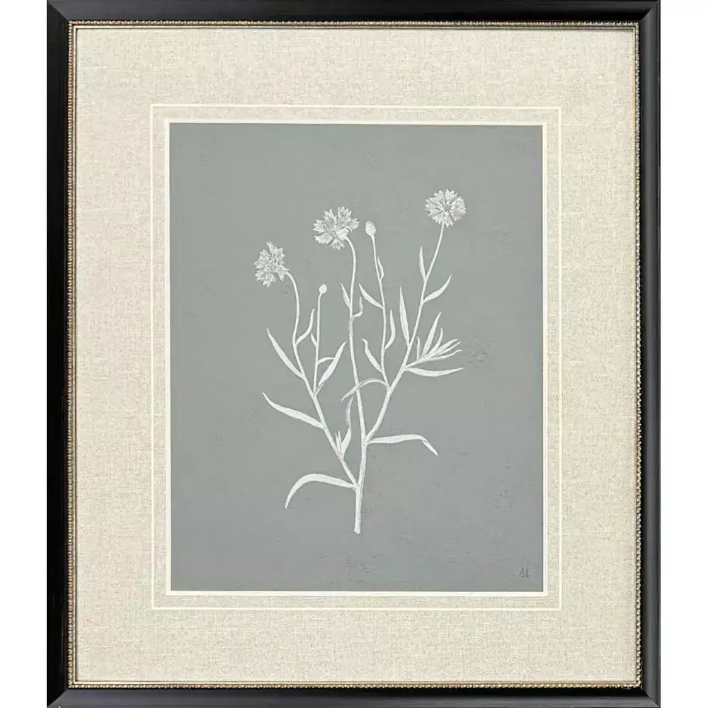 Natures Gift - III - Artwork