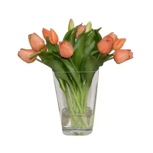 Orange Tulips - Botanicals