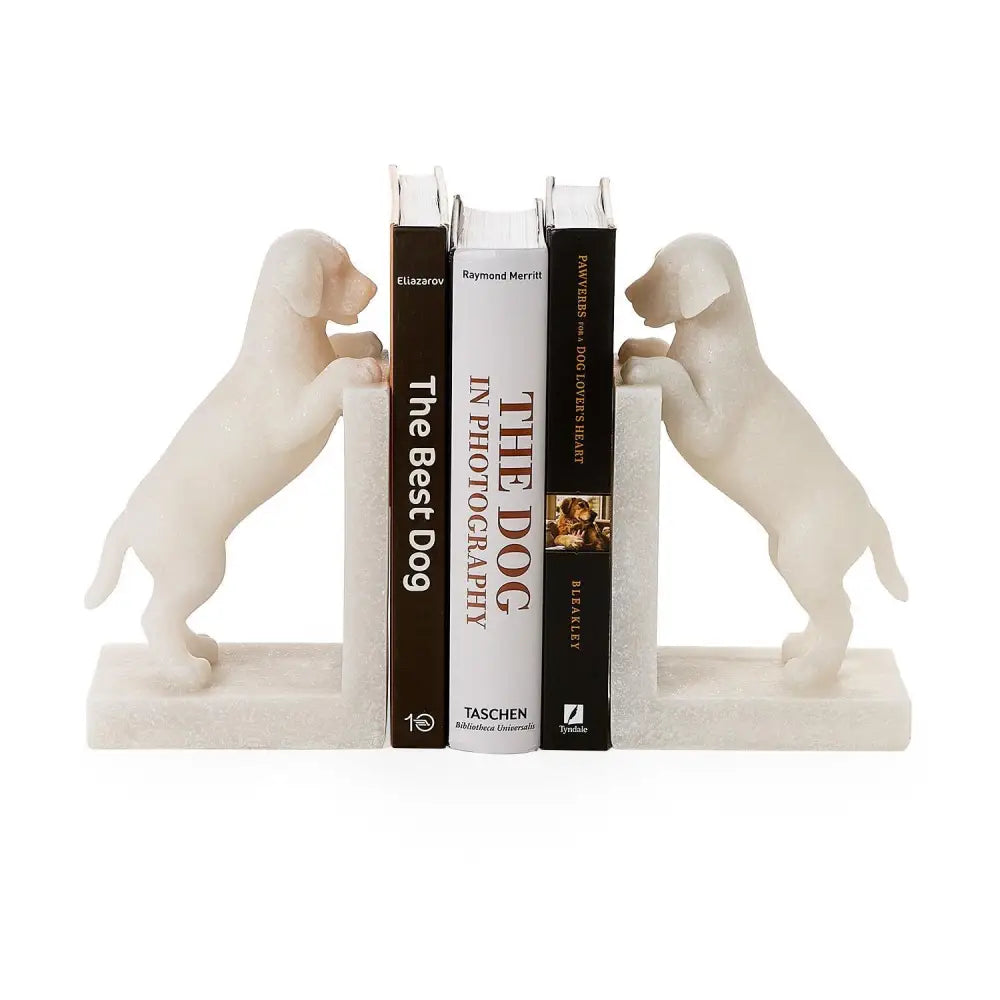 Playful Puppy Dog Set of 2 Book Ends - Bookends