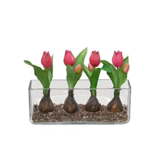 Red Tulips with Buds - Botanicals