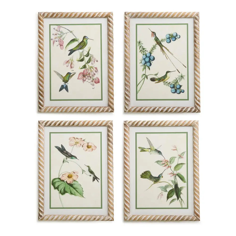 Set of 4 Hummingbird Framed Wall Art Prints - Artwork