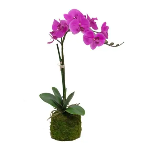 Single PInk Orchid Drop-In - Botanicals
