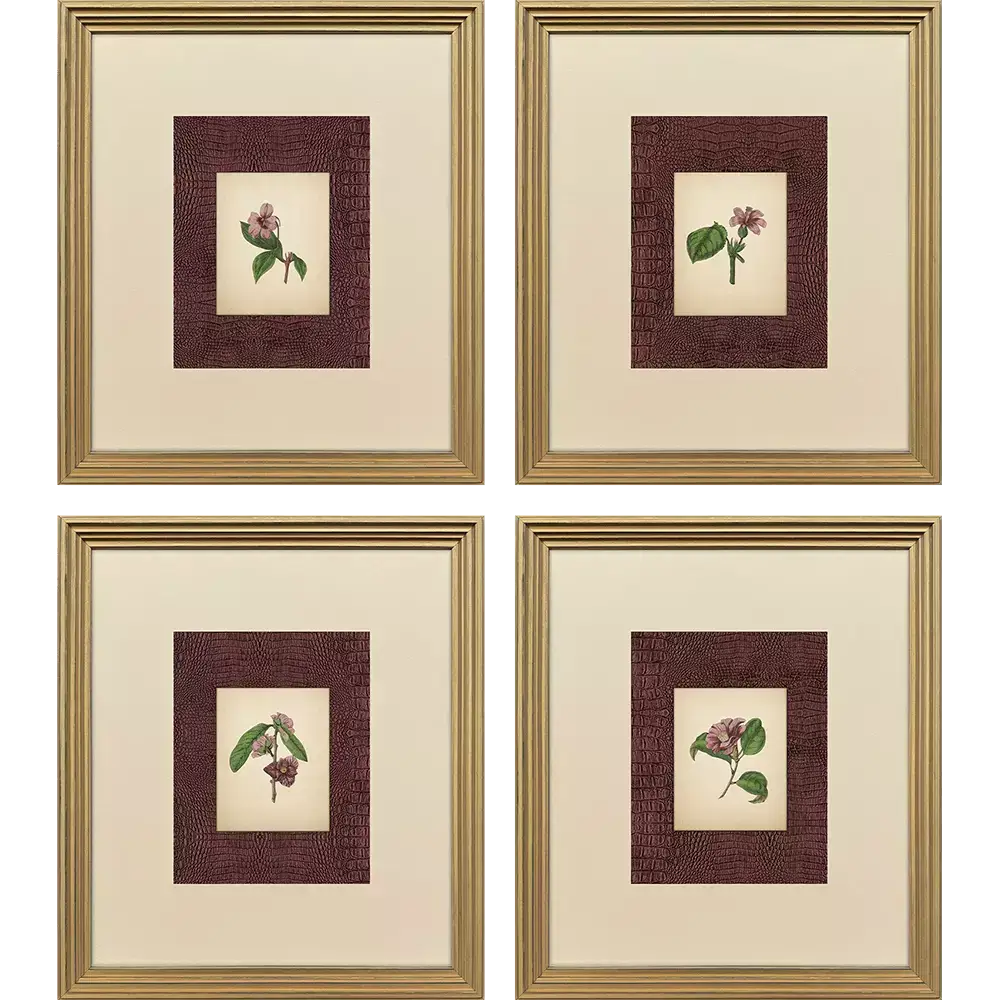 Vintage Anemone - Artwork