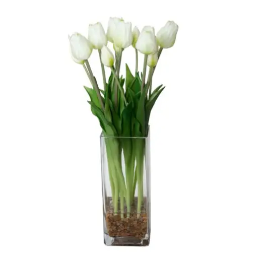 White Tulips - Botanicals