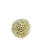 2’’ Dia White Berry Ball Fall / Christmas