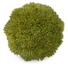 3’’ Tea Green Berry Ball Home Accent