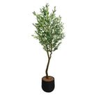 7ft Olive Tree - 7ft - Accessories