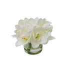 Amaryllis Arrangement - Accessories