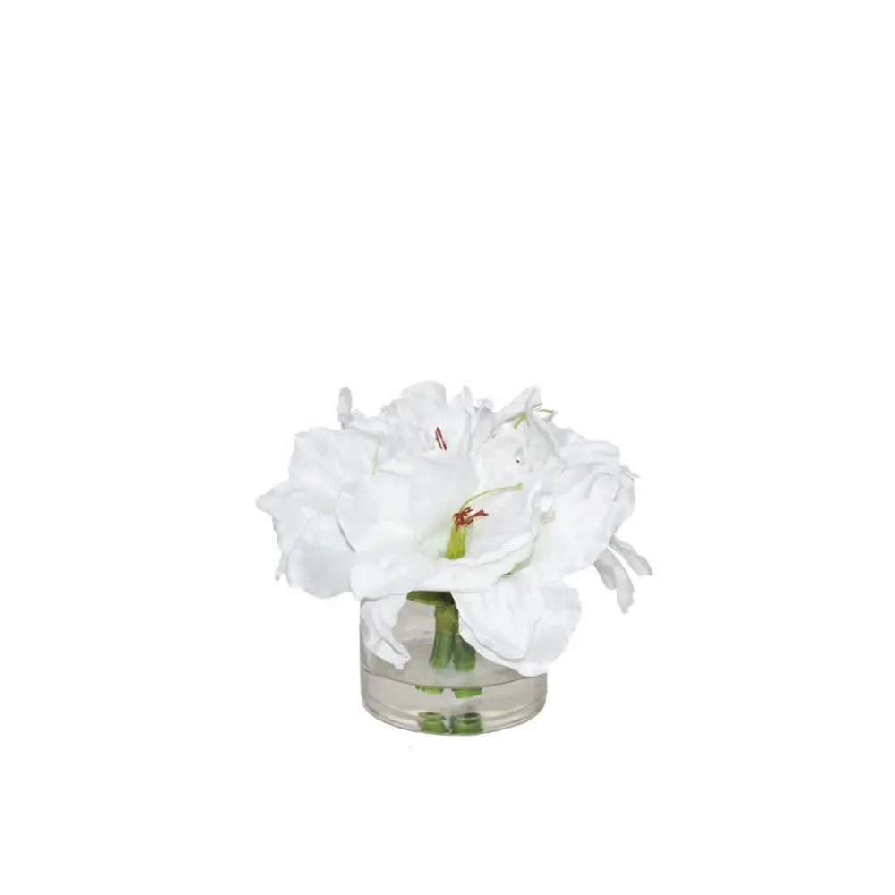 Amaryllis Arrangement - Accessories