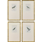 Antique Hummingbirds - Artwork