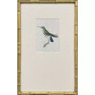 Antique Hummingbirds - I - Artwork
