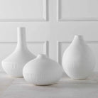 Apothecary Vases S/3 - Accessories