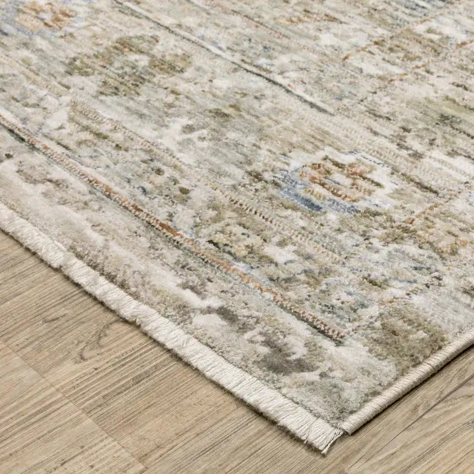 Avalon Traditional Area Rug - Area Rug