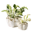 Banyan White Ceramic Vase - Small - Vase