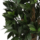 Bay Laurel Cone Topiary Everlux UV 48 Inch