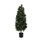 Bay Laurel Cone Topiary Everlux UV 48 Inch