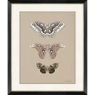 Beauty of the Forest - 2 - Artwork