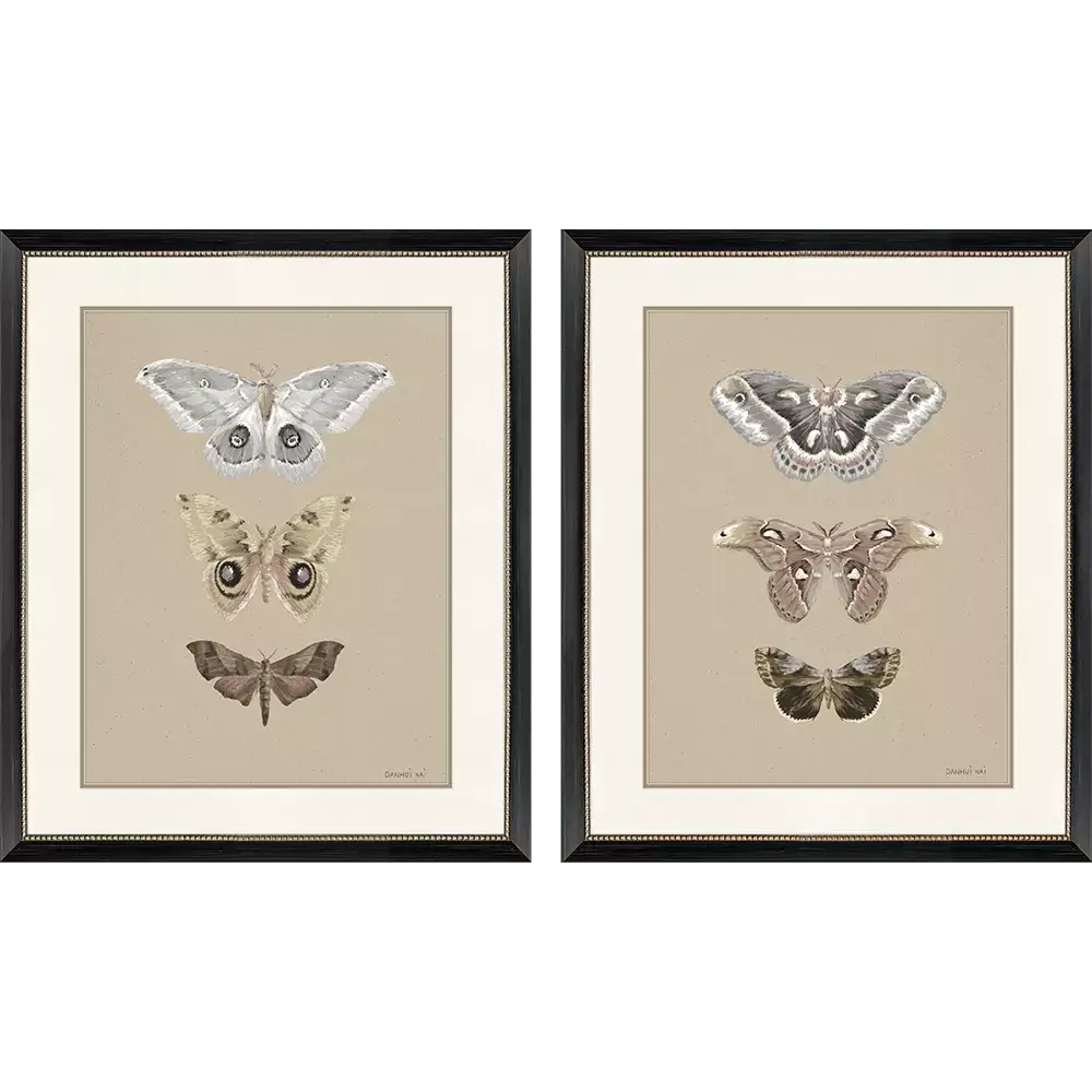 Beauty of the Forest - Artwork