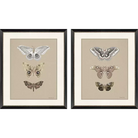 Beauty of the Forest - Artwork