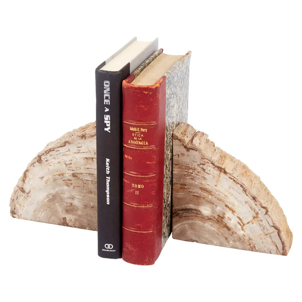 BLACK & BROWN PETRIFIED WOOD BOOKENDS - Cream & Brown - Bookends