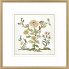 Botanica - I - Artwork