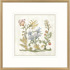 Botanica - III - Artwork