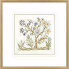 Botanica - IV - Artwork
