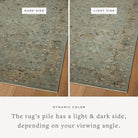 Briar - Aqua/Olive - Area Rugs