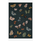 Butterfly Area Rug - Area Rug