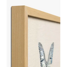 Butterfly Prints - Artwork