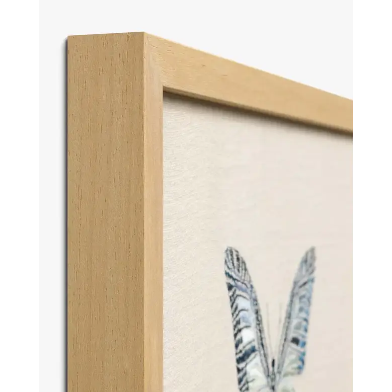 Butterfly Prints - Artwork