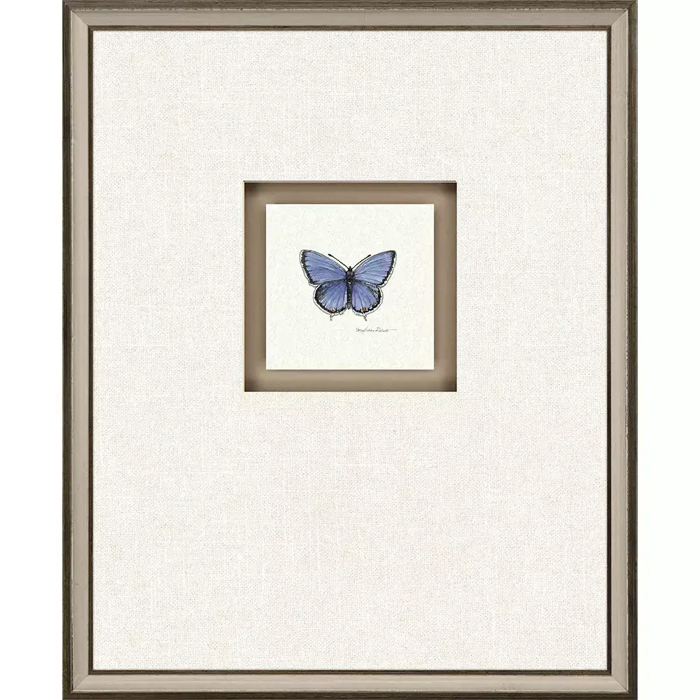 Butterfly Study I - Wall Decor