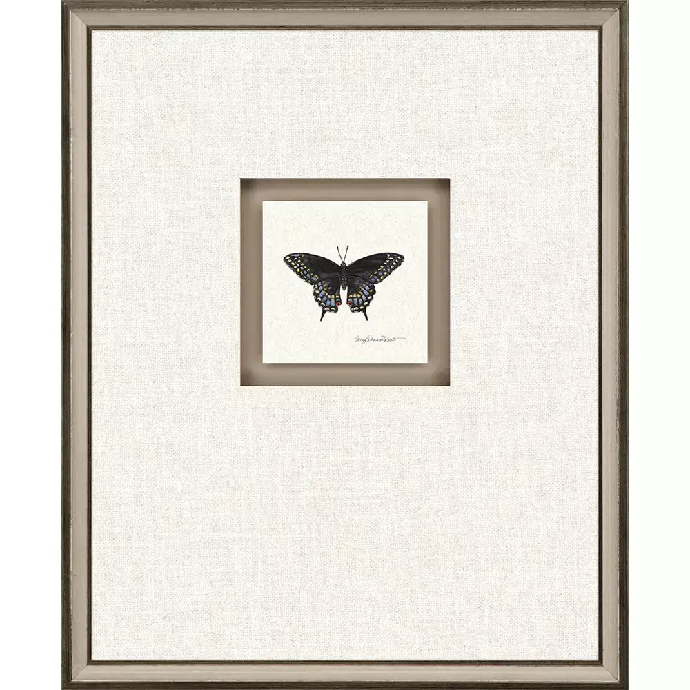 Butterfly Study III - Wall Decor