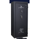 Centurion 18 - 250year - Special - Gun Safe