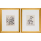 Coconino Framed Art - Artwork