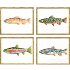 Colorful Trout - Artwork