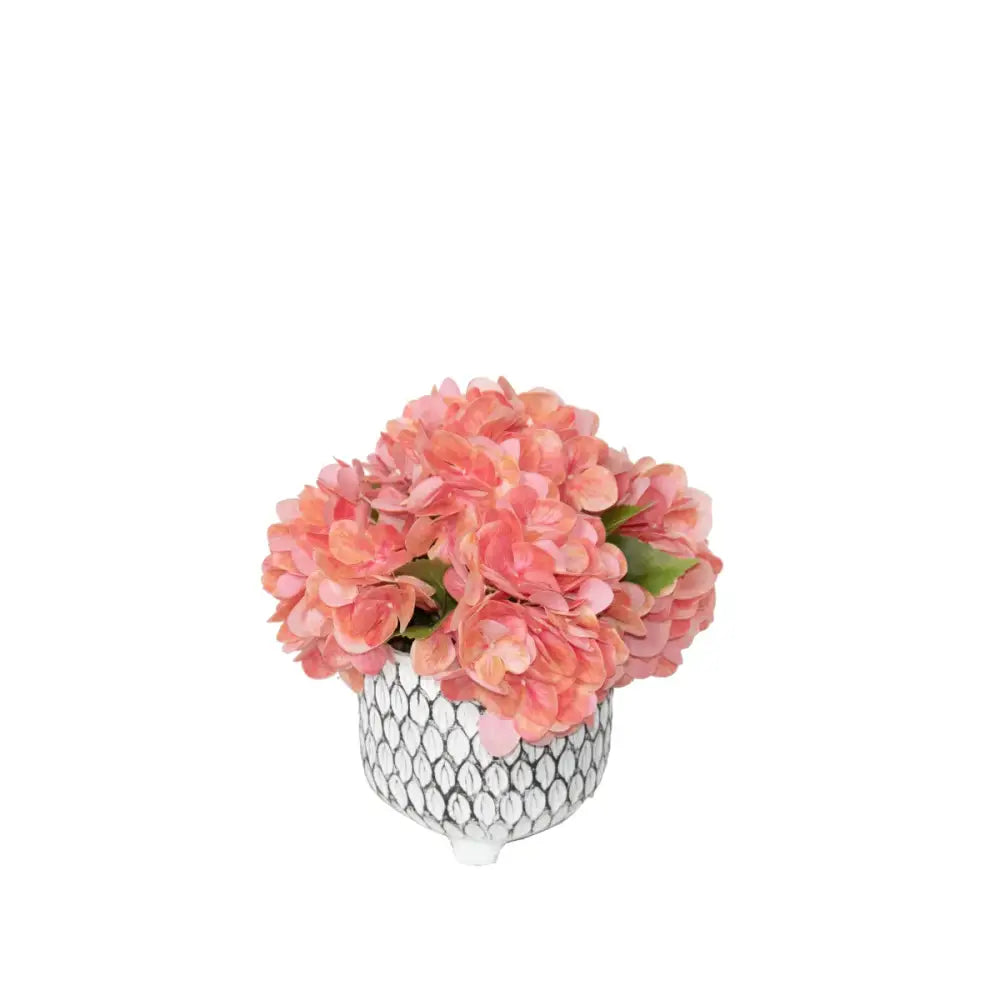 Coral Hydrangea - Accessories