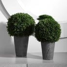 Cypress Globa Greenery Set of 2 - Accessories