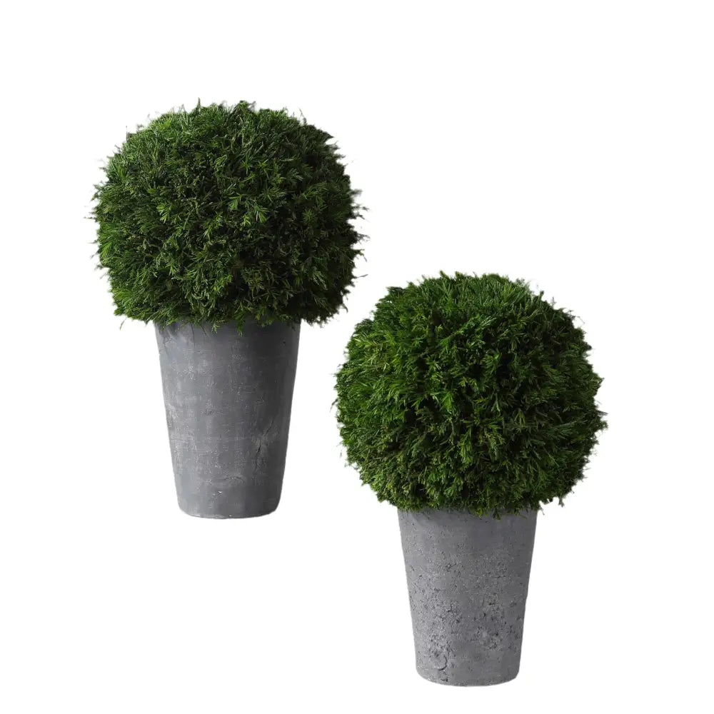 Cypress Globa Greenery Set of 2 - Accessories